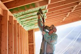 Best Insulation for Existing Homes  in Plumsteadville, PA